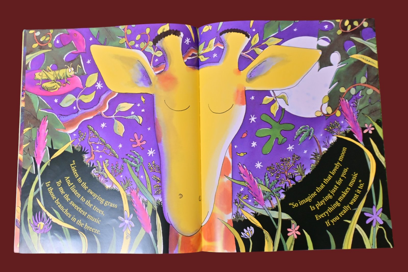 Giraffes Can't Dance - Image 3