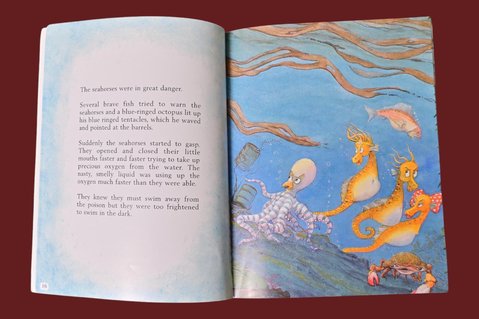 Hippa comes to beauty point - Image 3