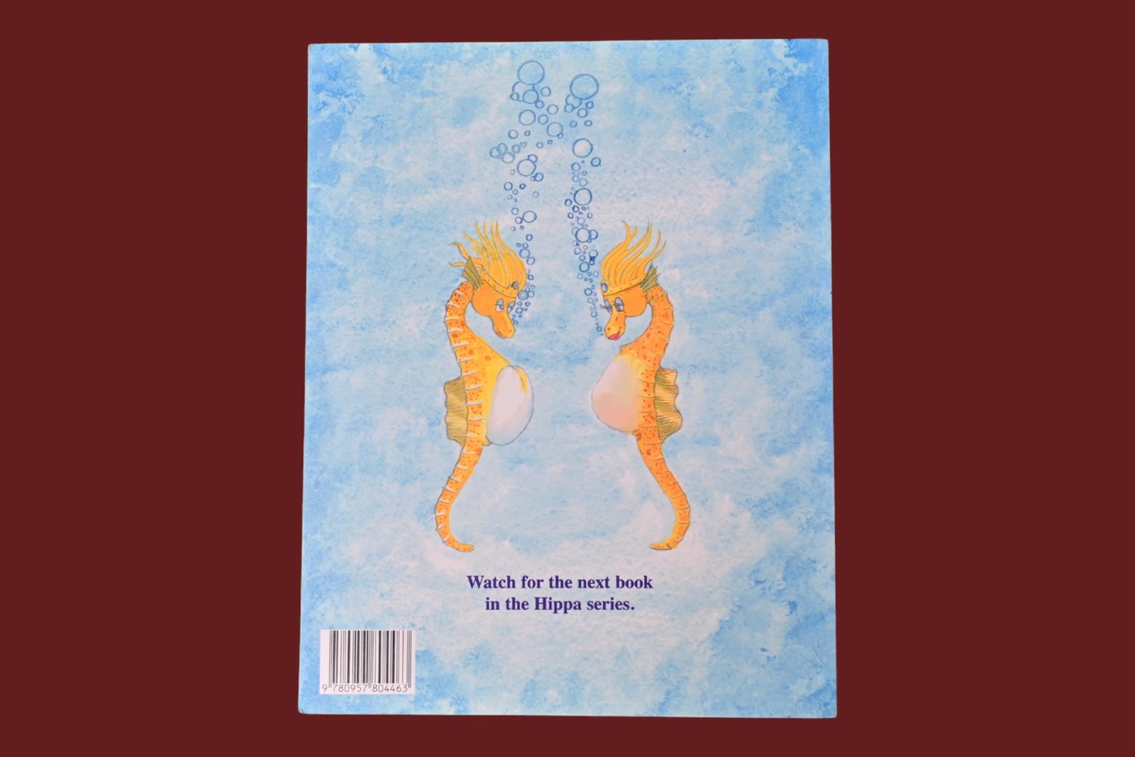 Hippa comes to beauty point - Image 4