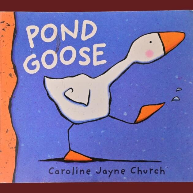 Pond Goose