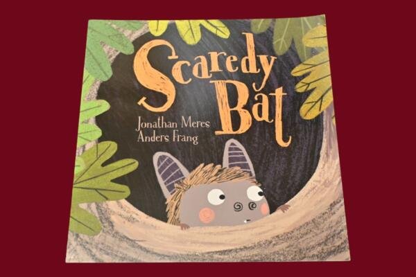 Scaredy Bat